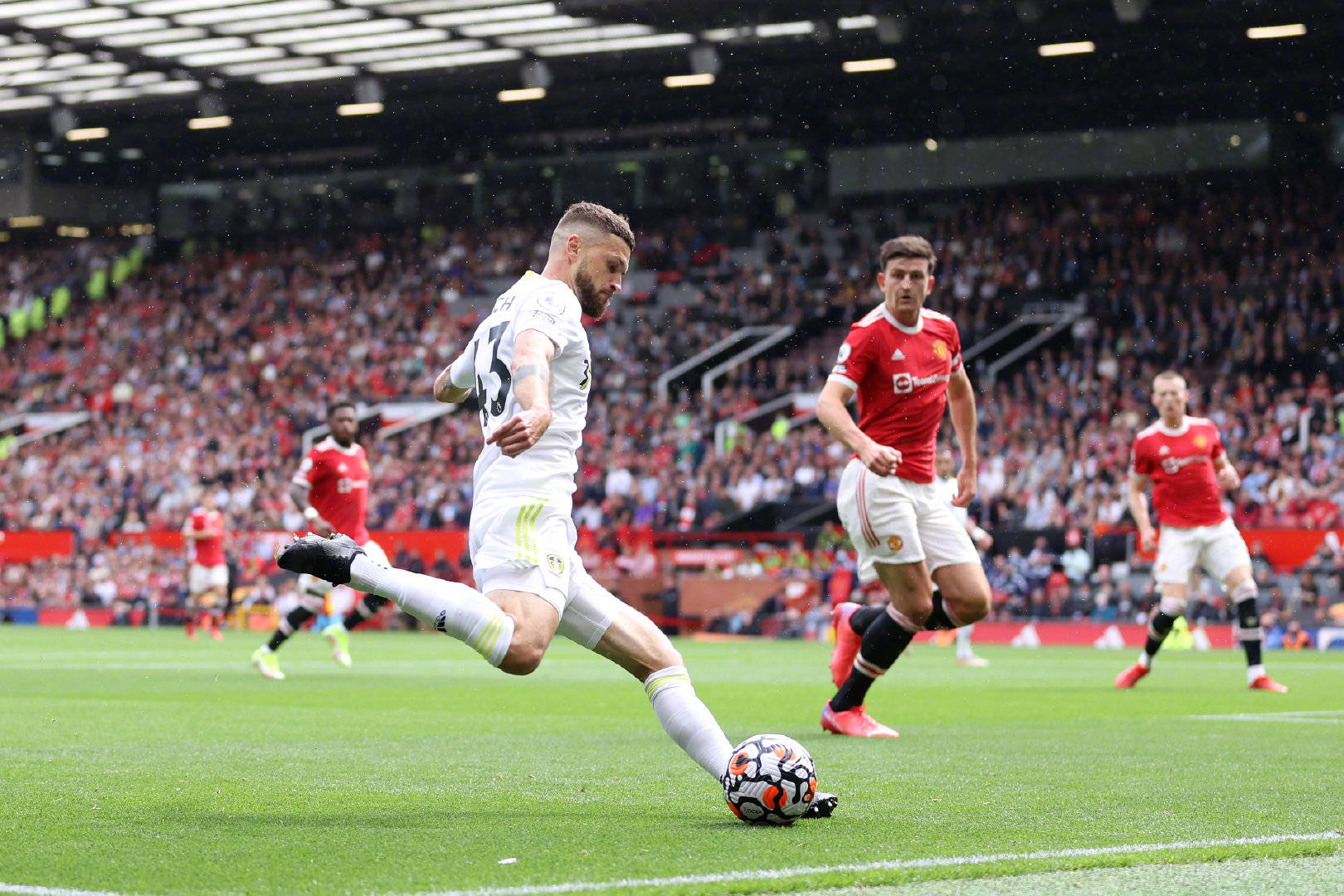 家队中的角 家队中的角